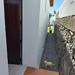 Bella Blanca *